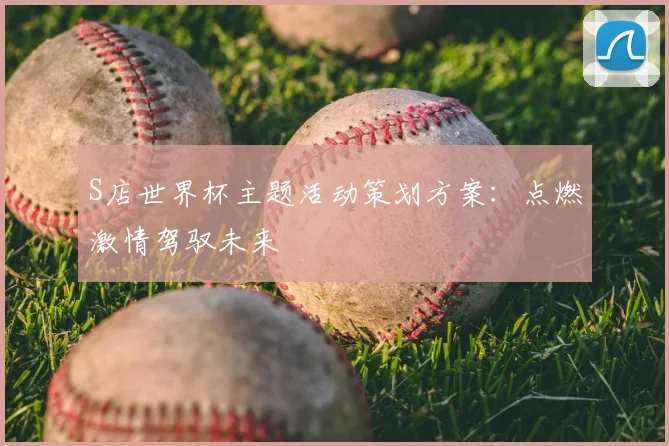 S店世界杯主题活动策划方案：点燃激情驾驭未来