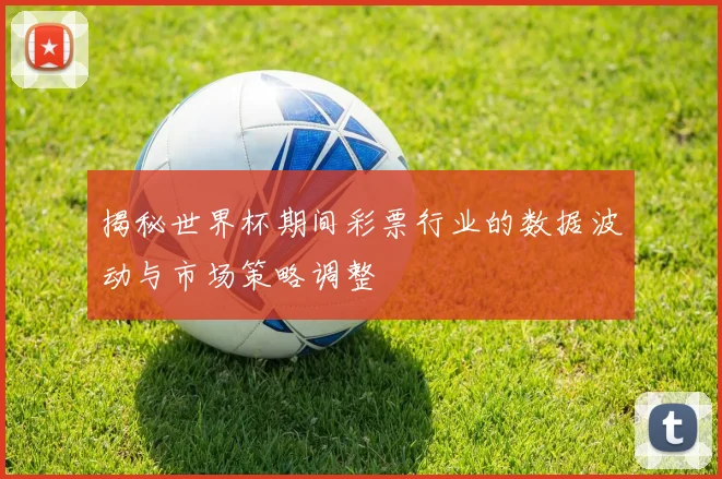 揭秘世界杯期间彩票行业的数据波动与市场策略调整
