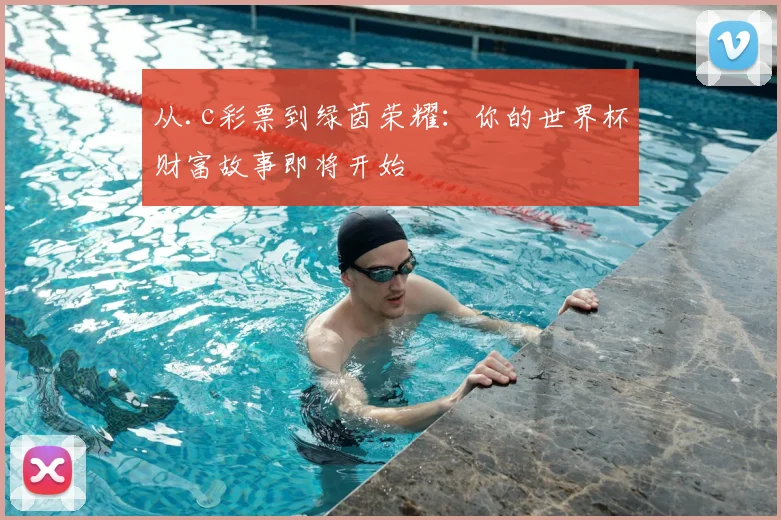 从.c彩票到绿茵荣耀：你的世界杯财富故事即将开始