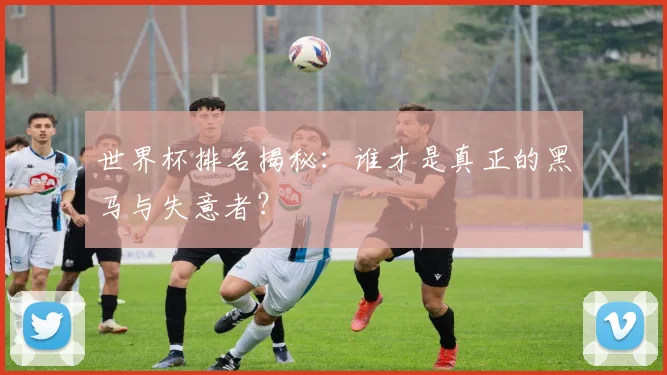 世界杯排名揭秘:谁才是真正的黑马与失意者?