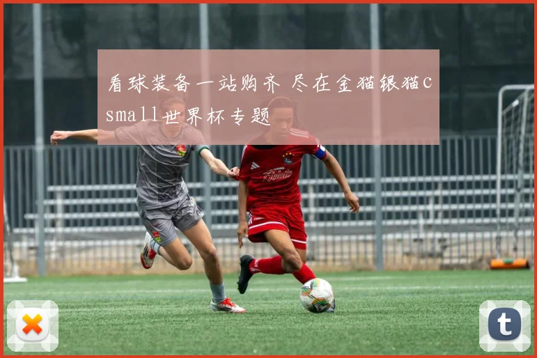 看球装备一站购齐 尽在金猫银猫csmall世界杯专题